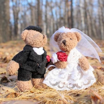 Greeting Card  huwelijk beren